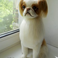 Японский хин Тёма