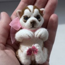 Щенок хаски