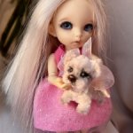 Вест Хайленд