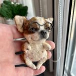 Чихуахуа тедди