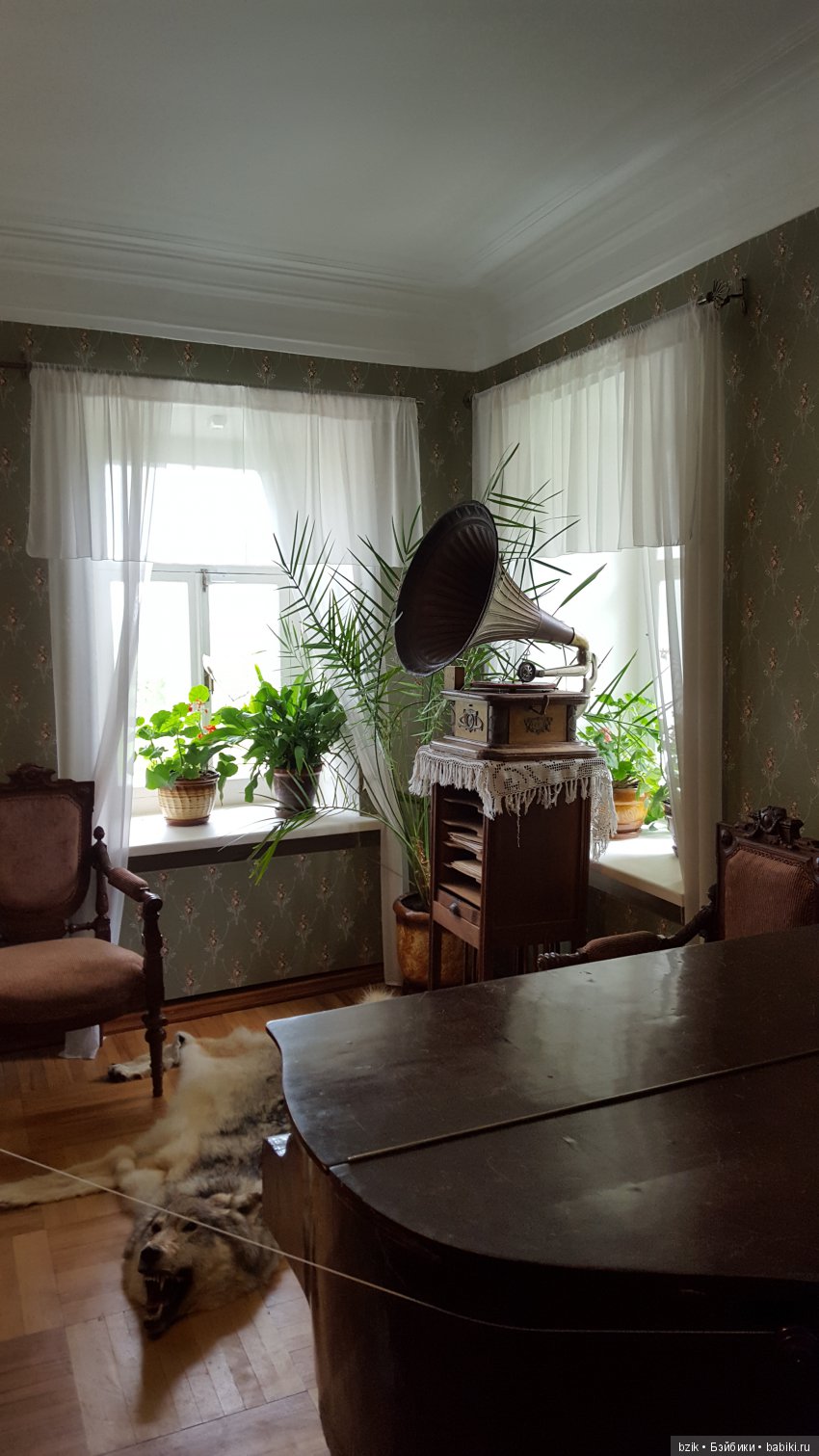 Путешествие в Константиново