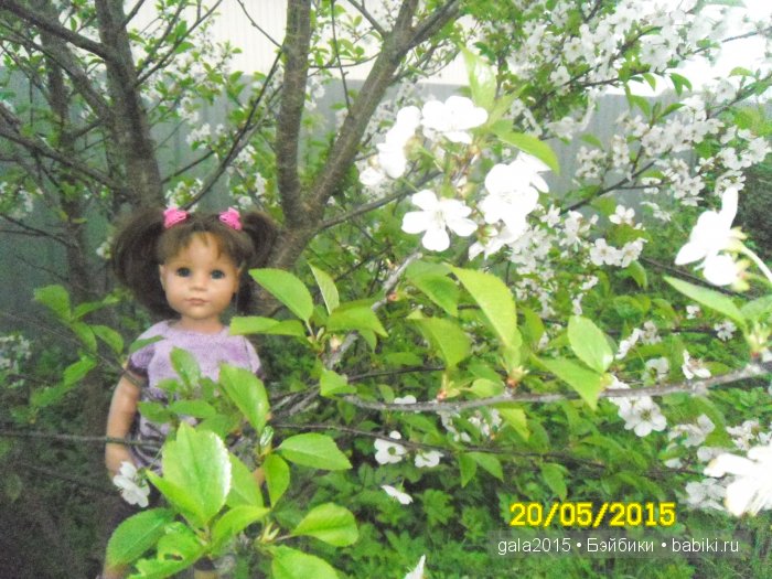 Разрешите познакомиться - Алисочка (Сара Готц)