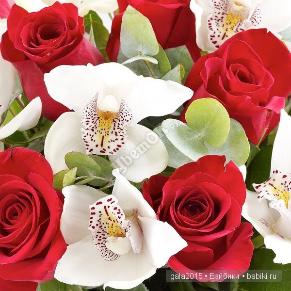 Разрешите познакомиться - Алисочка (Сара Готц) (фото 8)