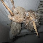 Банши. Игрушка ручной работы