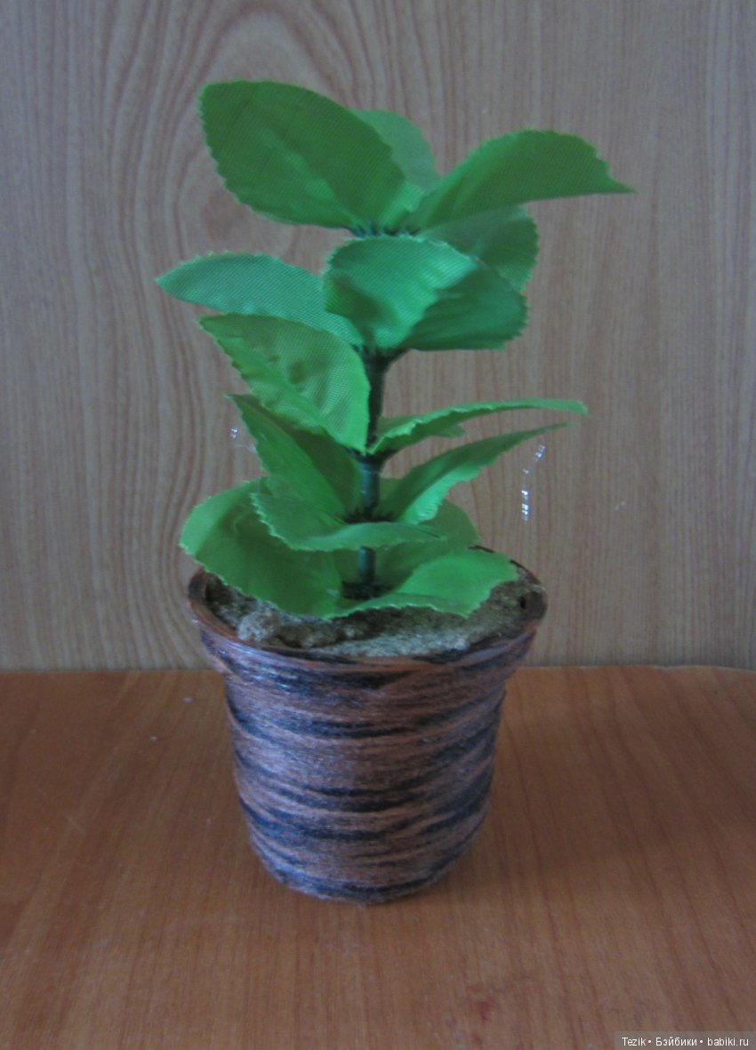 Промежуточные результаты. Цветы в кашпо