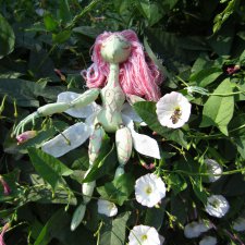 Вопрос о телосложении