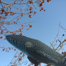 Кит Ламбер. Кит юного художника. Гхётзинбург.