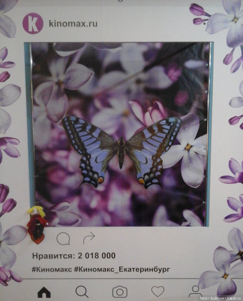 Как мы с Эдом ходили в Кино (фото 2)