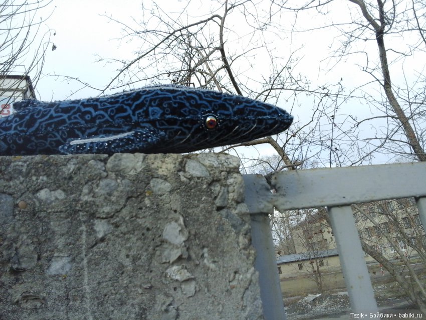 Франк. Беседа с У. Гхётзинбург (фото 8)