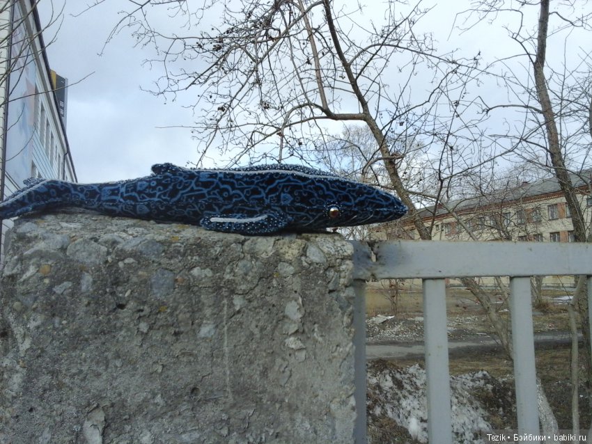 Франк. Беседа с У. Гхётзинбург (фото 6)