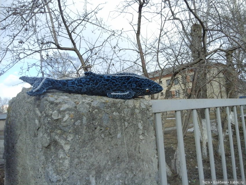 Франк. Беседа с У. Гхётзинбург (фото 7)