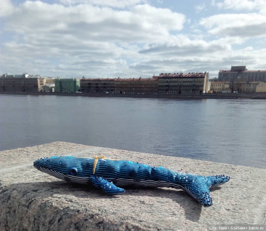 Конкурс. Этап Зрительские симпатии (фото 7)