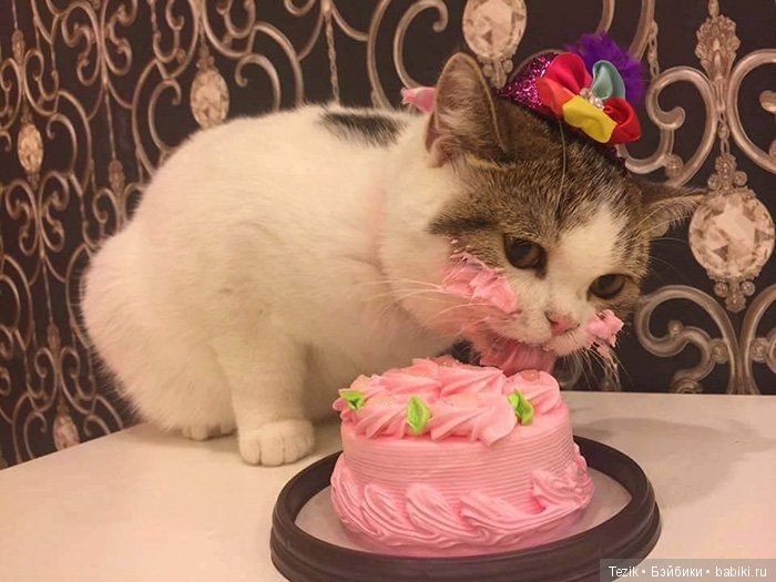 День рождения одного художника