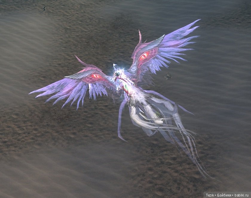 Цветы Айона — Красивая природа и цветы: фото пейзажей