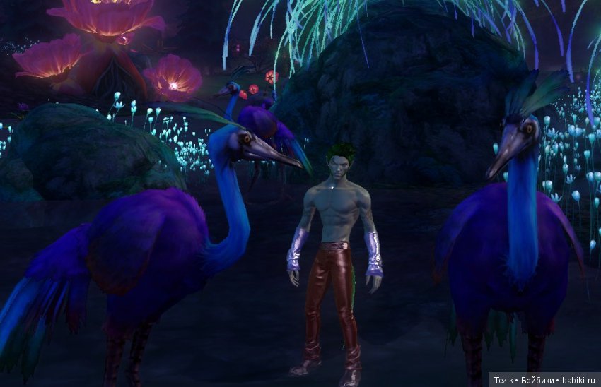 Цветы Айона — Красивая природа и цветы: фото пейзажей