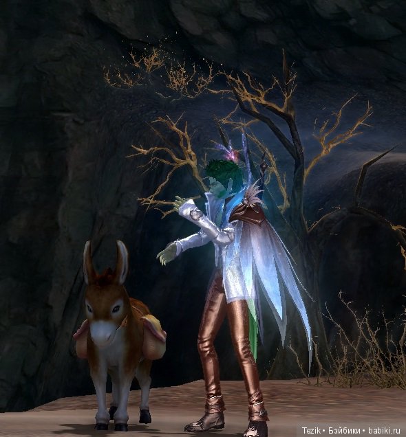 Цветы Айона — Красивая природа и цветы: фото пейзажей