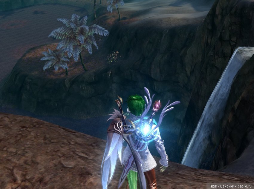 Цветы Айона — Красивая природа и цветы: фото пейзажей