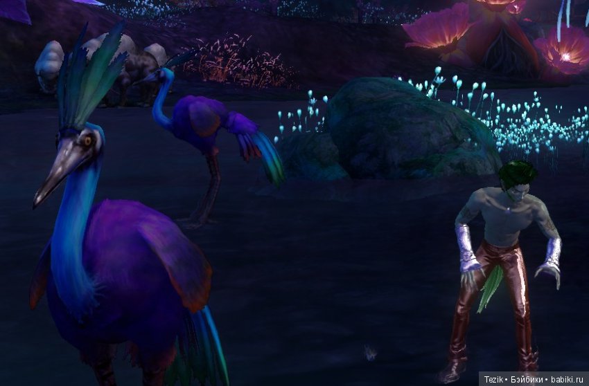 Цветы Айона — Красивая природа и цветы: фото пейзажей