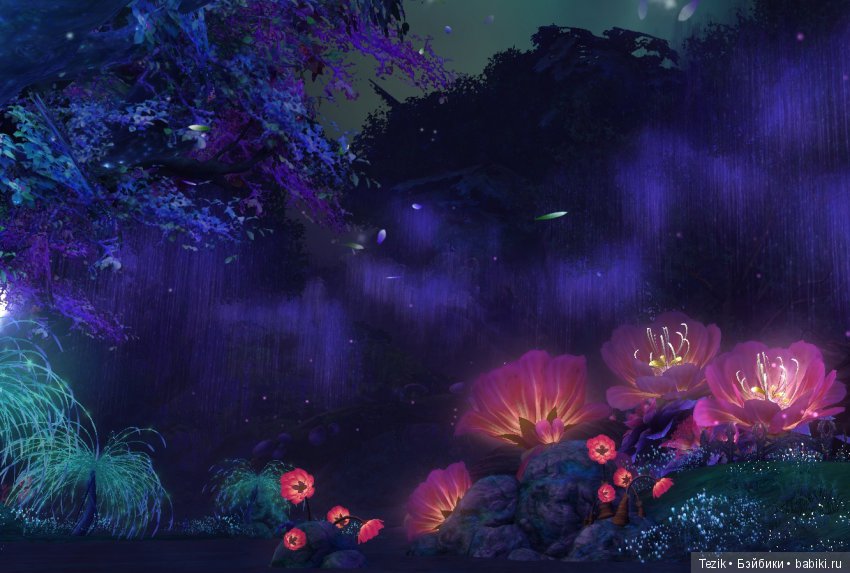 Цветы Айона — Красивая природа и цветы: фото пейзажей