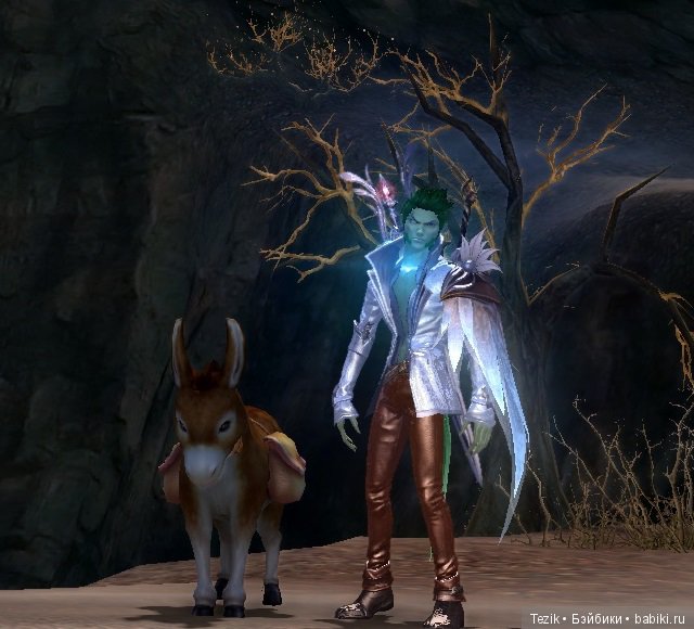 Цветы Айона — Красивая природа и цветы: фото пейзажей (фото 10)