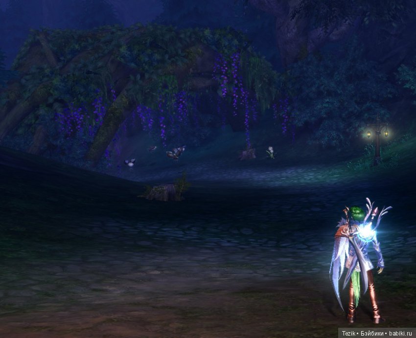 Цветы Айона — Красивая природа и цветы: фото пейзажей