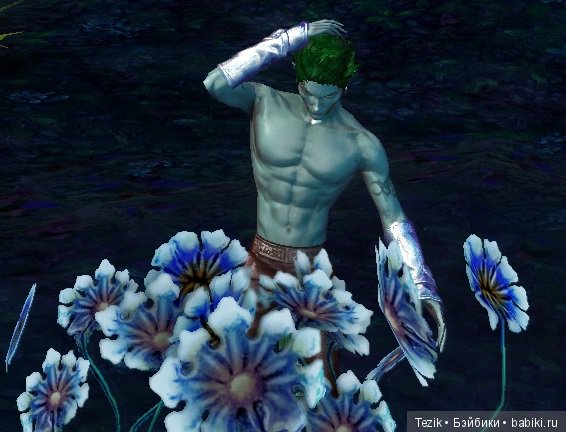 Цветы Айона — Красивая природа и цветы: фото пейзажей