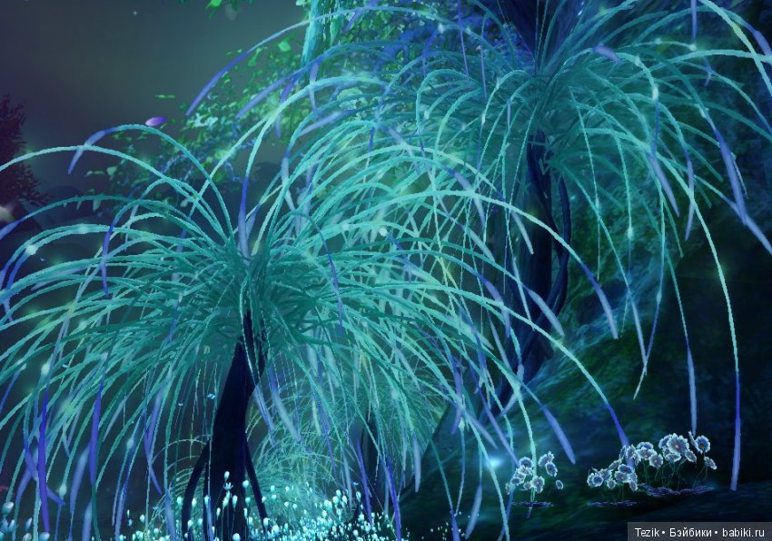 Цветы Айона — Красивая природа и цветы: фото пейзажей