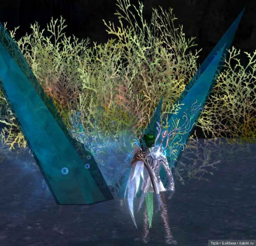 Цветы Айона — Красивая природа и цветы: фото пейзажей