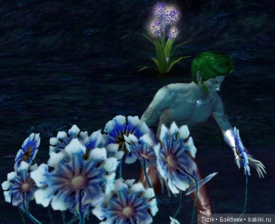 Цветы Айона — Красивая природа и цветы: фото пейзажей