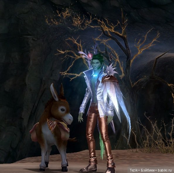 Цветы Айона — Красивая природа и цветы: фото пейзажей