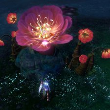 Цветы Айона.