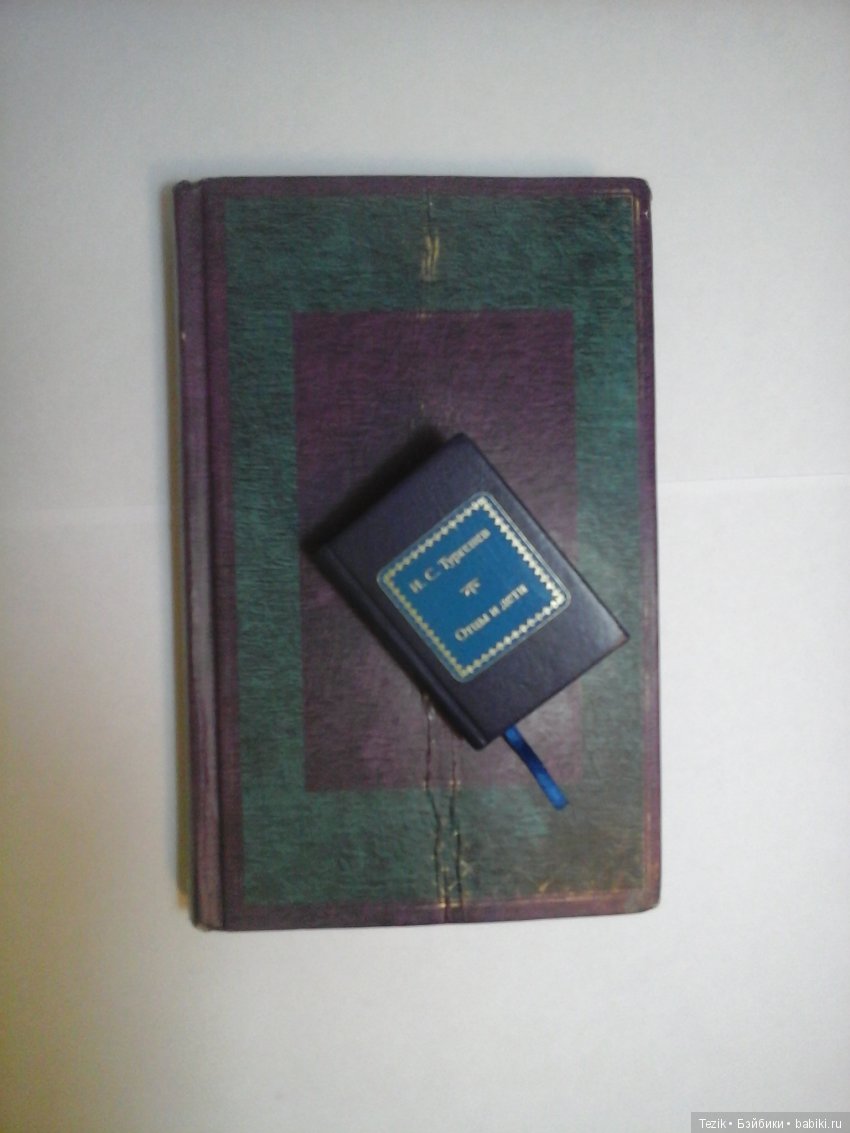 Сказка для черепашки. История неожиданного приятного нужного подарка