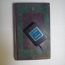 Сказка для черепашки. История неожиданного приятного нужного подарка