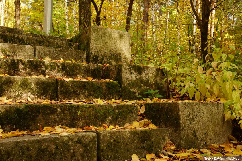 Фотографии осеннего парка