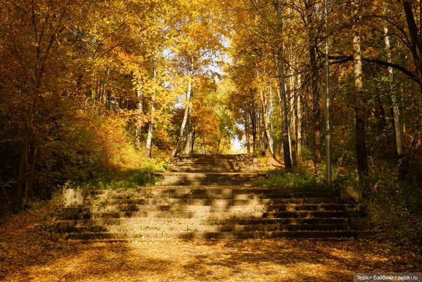 Фотографии осеннего парка (фото 8)