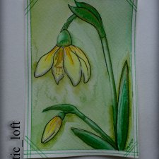 Новый открытки. Цветы