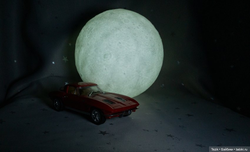 DeLorean DMC-12 и луна — Другие хобби и увлечения: сад (фото 8)