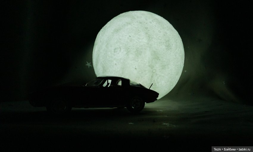 DeLorean DMC-12 и луна — Другие хобби и увлечения: сад (фото 9)