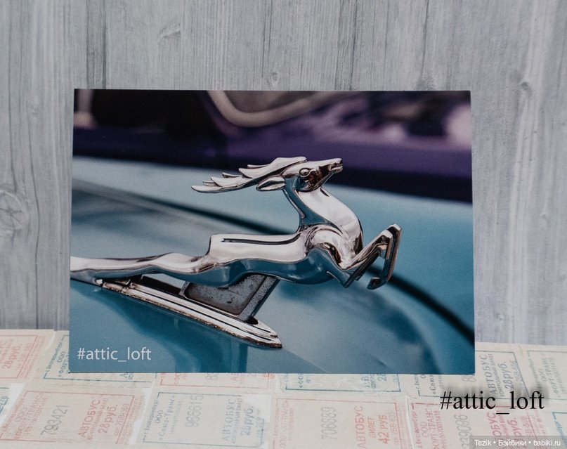 Авторские фото открытки — Другие хобби и увлечения: сад