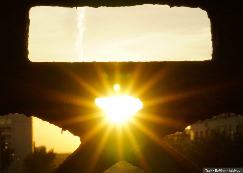 Авторские фото открытки — Другие хобби и увлечения: сад (фото 6)