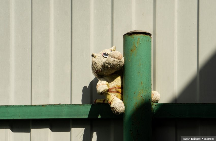 Авторские фото открытки — Другие хобби и увлечения: сад