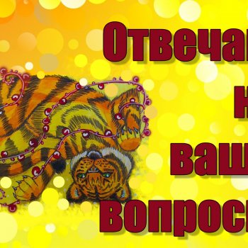 Я отвечаю на ваши вопросы