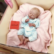 Выставка кукол в Эшвеге 2018-6. Реборн  Puppenfesttage Eschwege