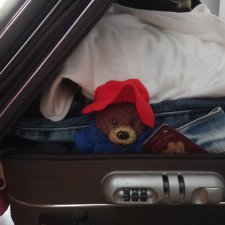 Приключения медвежонка Падди или маленькое путешествие большого друга