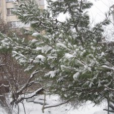 В Крыму зима