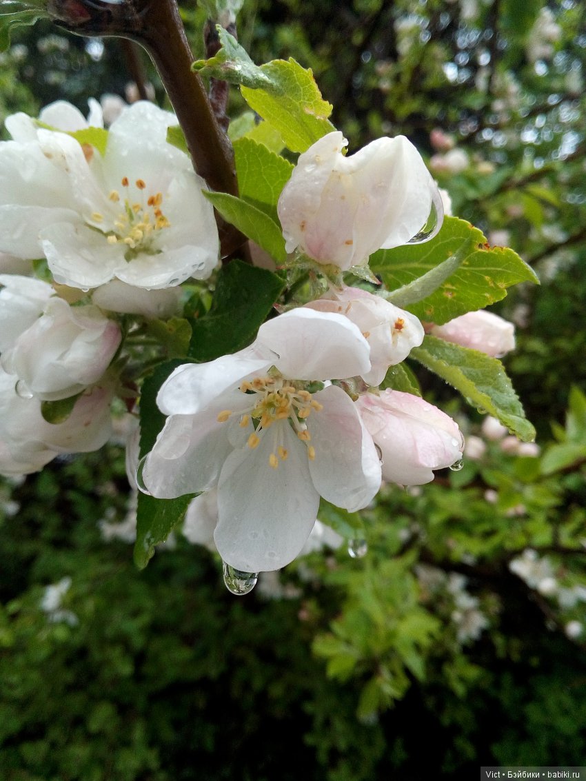 Падал прошлогодний снег — Лепка авторских кукол: полимерная глина (фото 8)