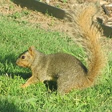 Субботняя прогулка