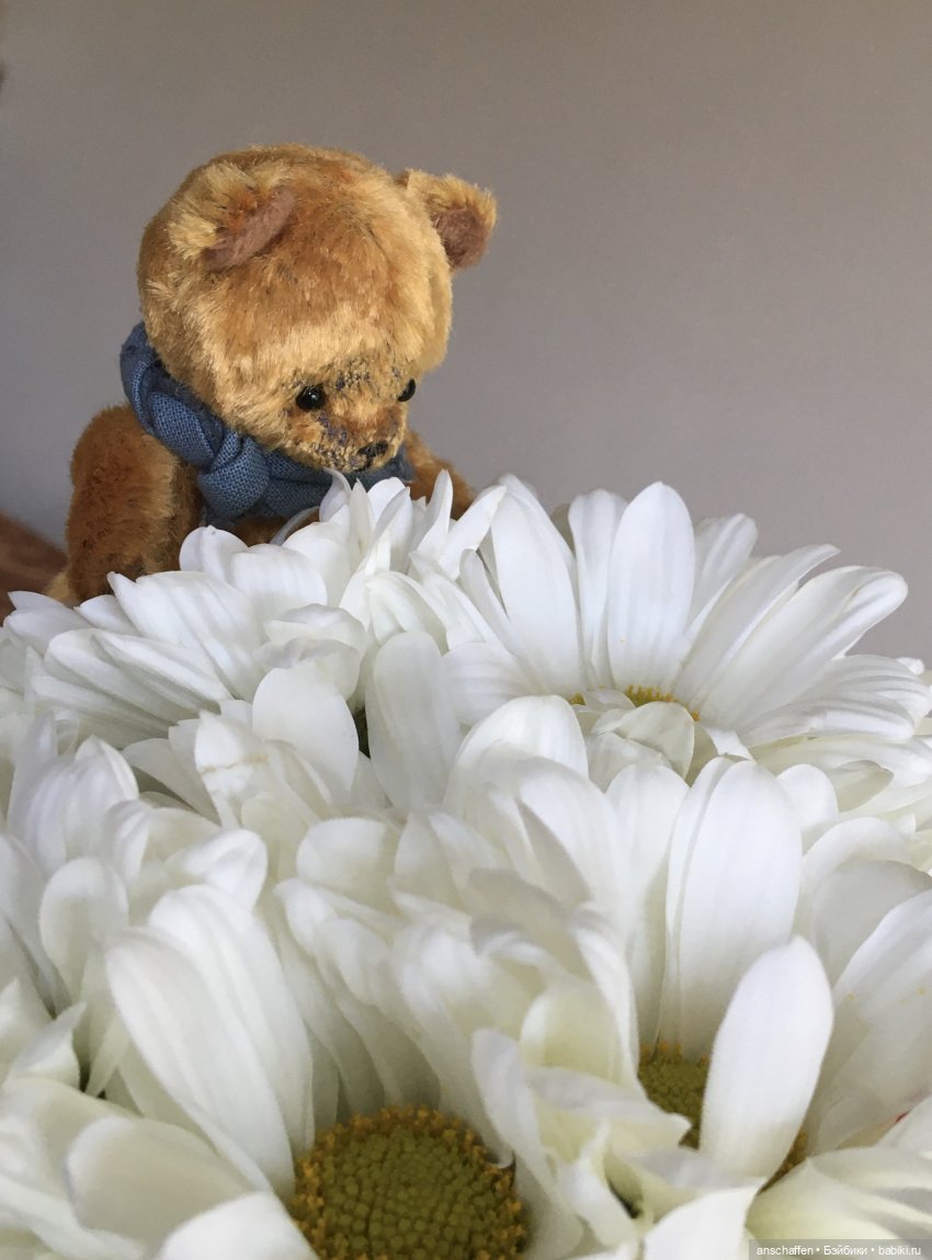 Три (медвежьих) грации — Домашние фото авторских игрушек: Тедди (фото 4)