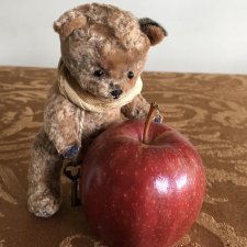 Три (медвежьих) грации