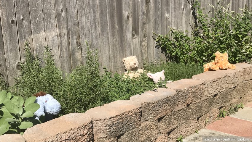 Мишутки и Со, часть 1: Мишка Эдвард